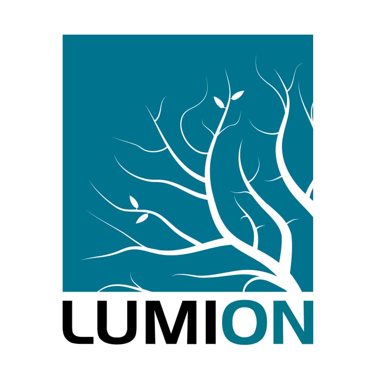 LUMION 10